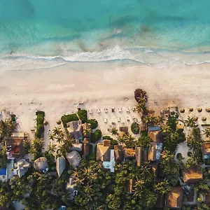 https://casa-violeta.quintano-roohotels.com